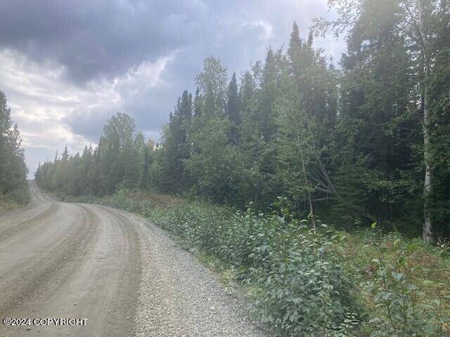 Soldotna, AK 99669,0000 Salmon Run RD