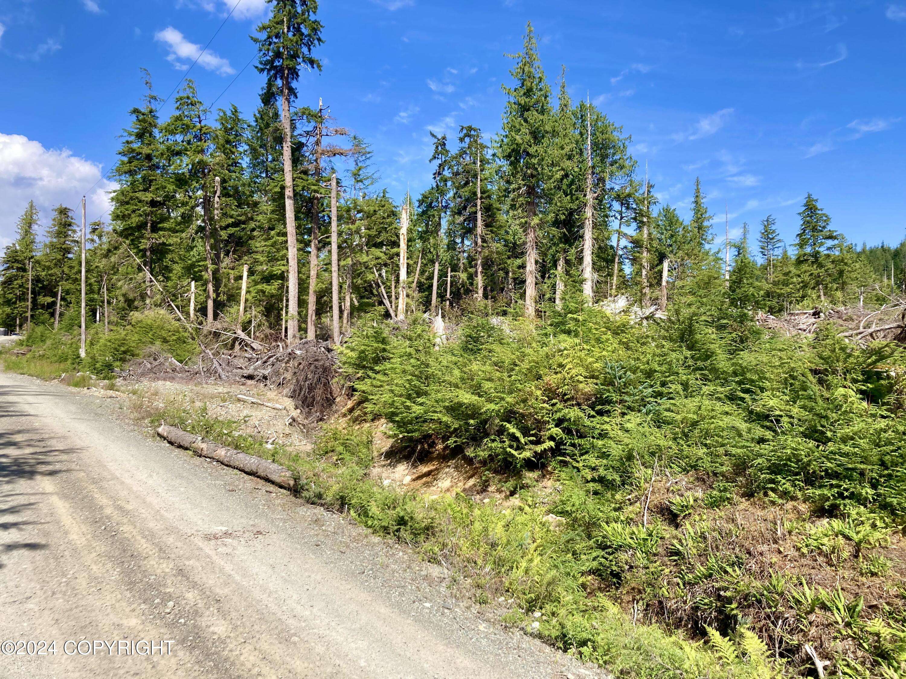 Thorne Bay, AK 99919,L2 Steep Road