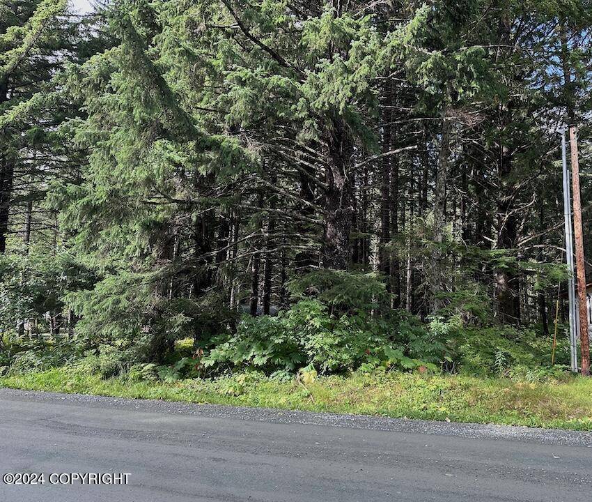 Haines, AK 99827,L4 4th AVE