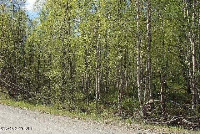 Wasilla, AK 99654,L1 B1 Horizon DR