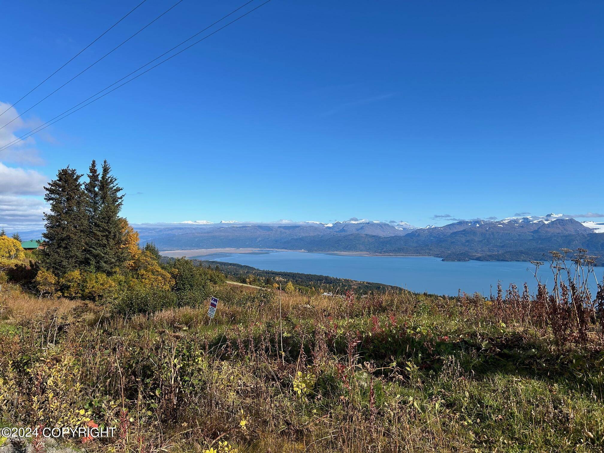 Homer, AK 99603,51080 Trail Mountain CT