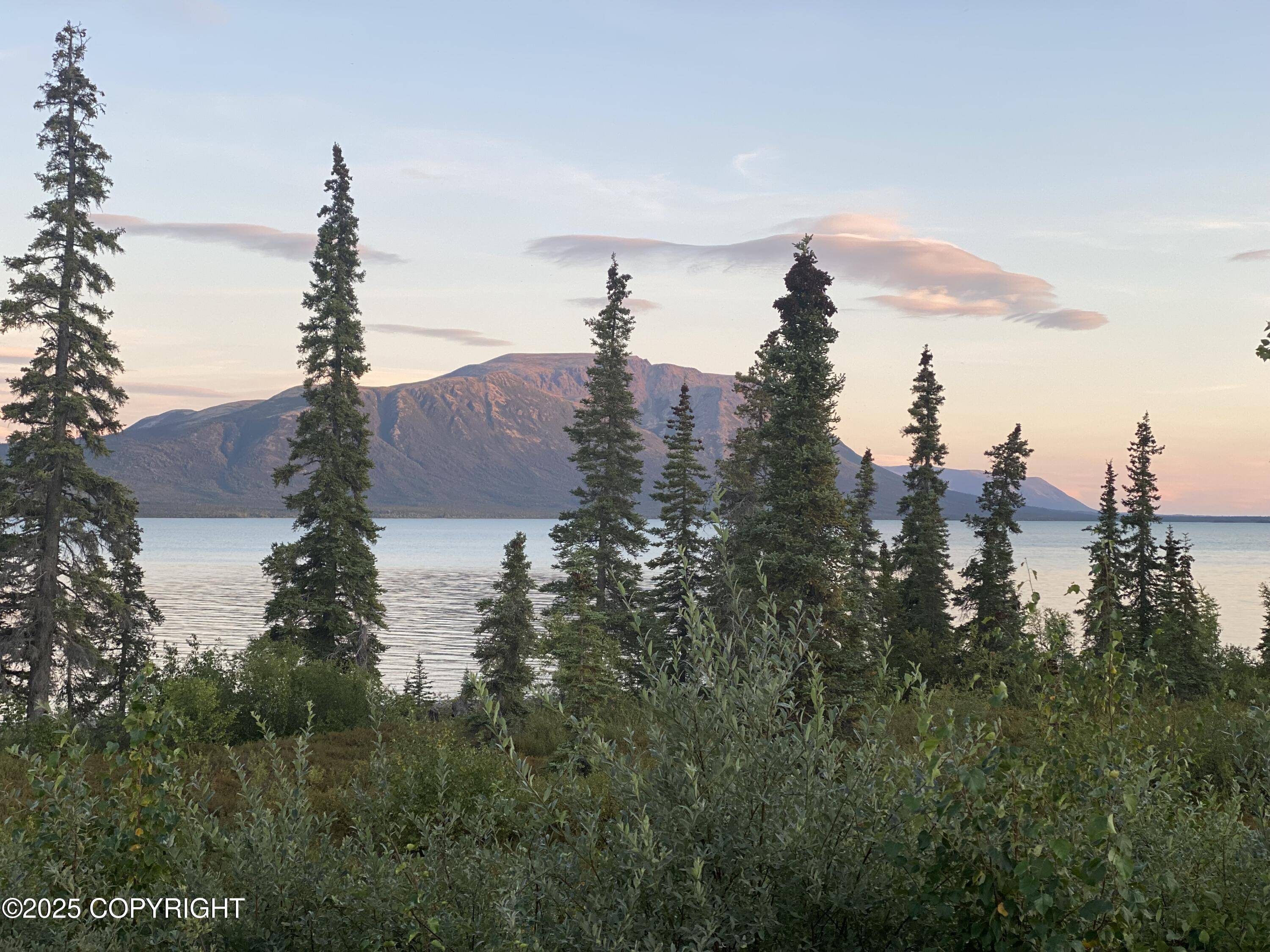 Port Alsworth, AK 99653,L2-3 Keyes Point