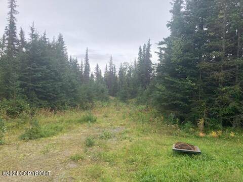 Kenai, AK 99611,53233 Melody LN