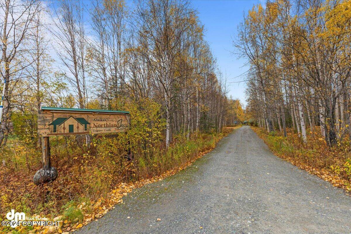 Trapper Creek, AK 99683,8985 E Petersville RD