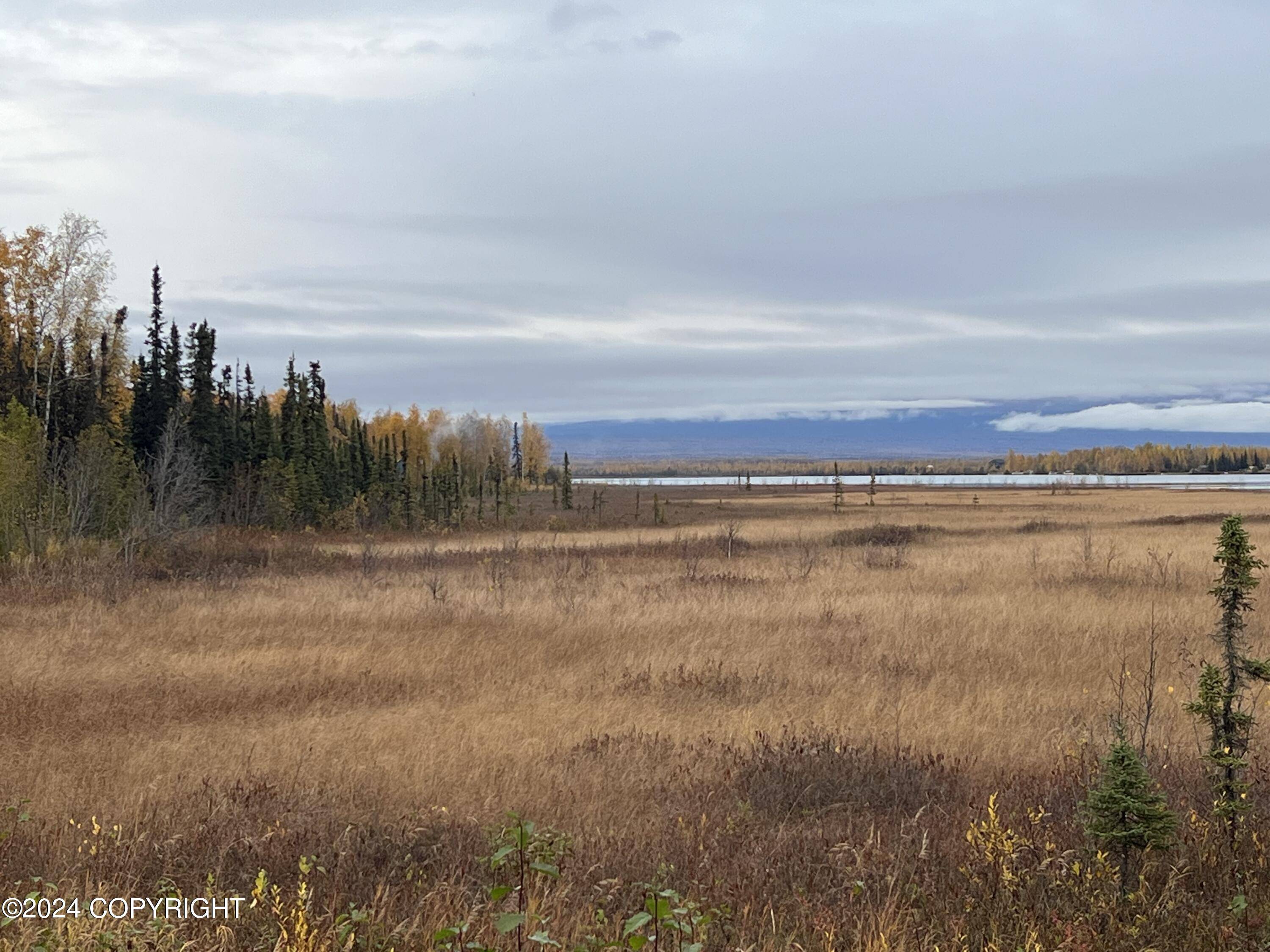 Big Lake, AK 99652,Tr A S Horseshoe Lake RD