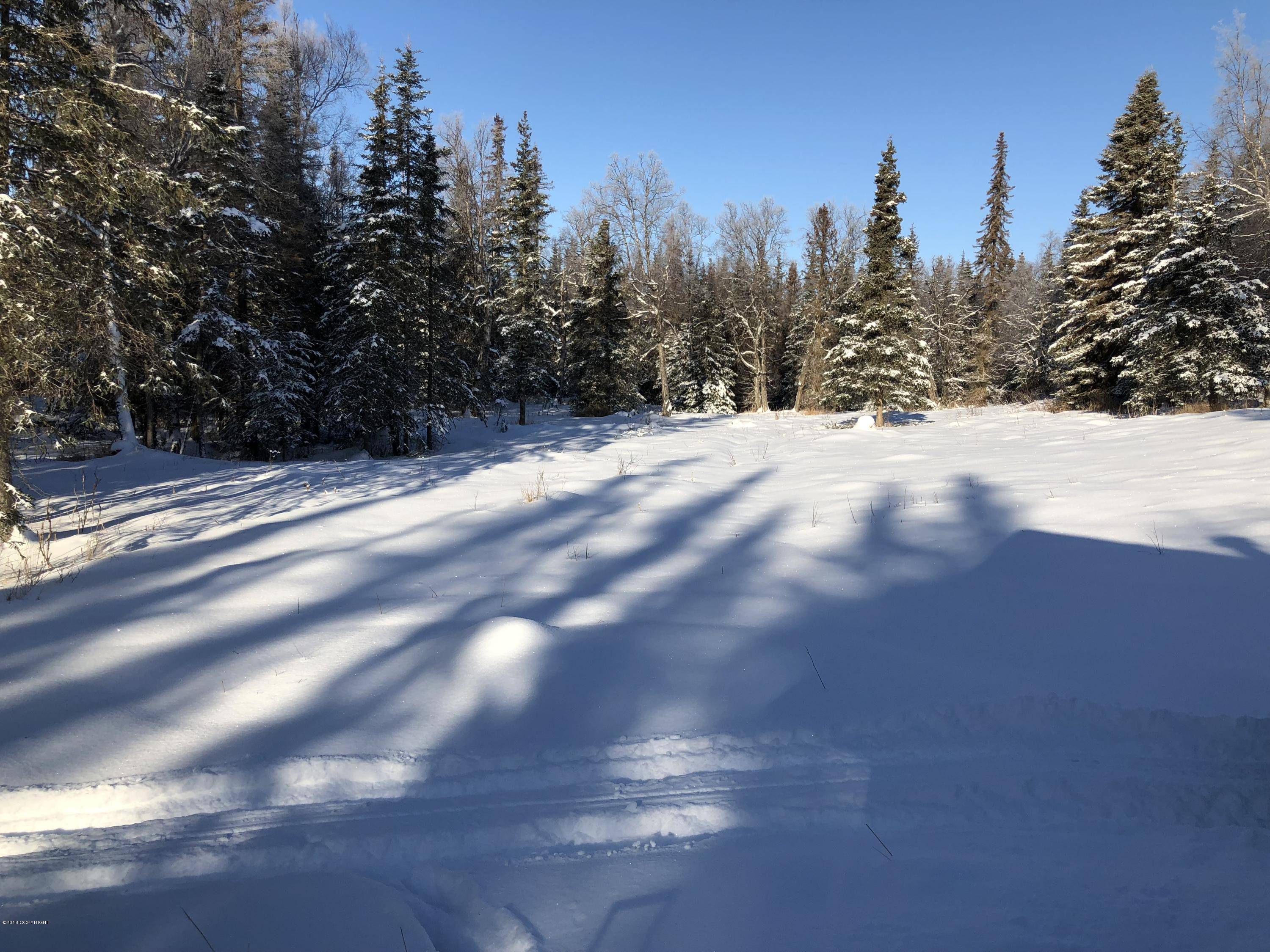 Remote, AK 99611,L53 Buttercup DR