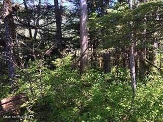 Wrangell, AK 99929,000 Timber AVE