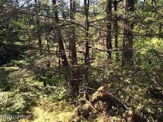 Wrangell, AK 99929,000 Timber AVE