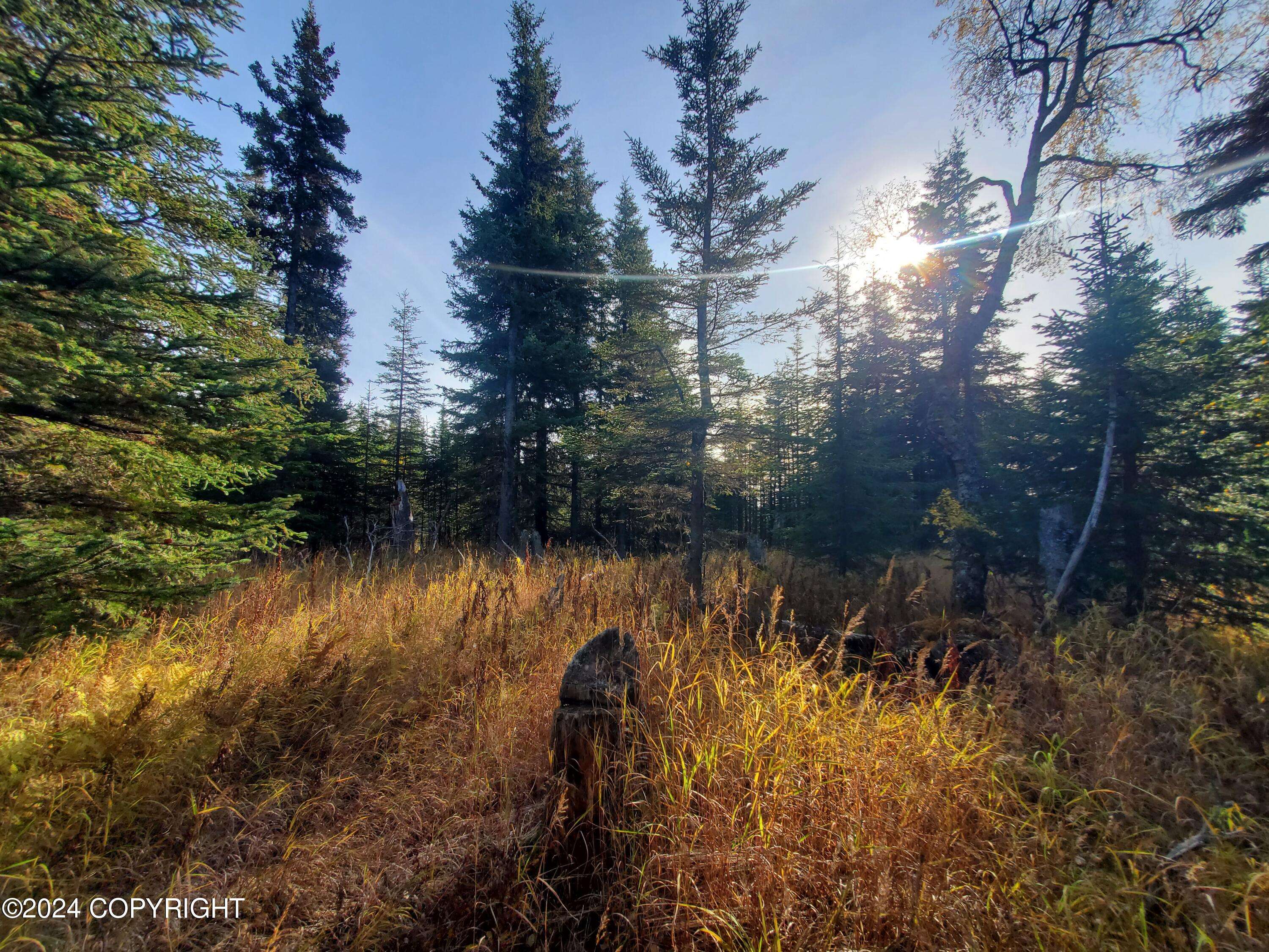 Ninilchik, AK 99639,67050 Homestead RD