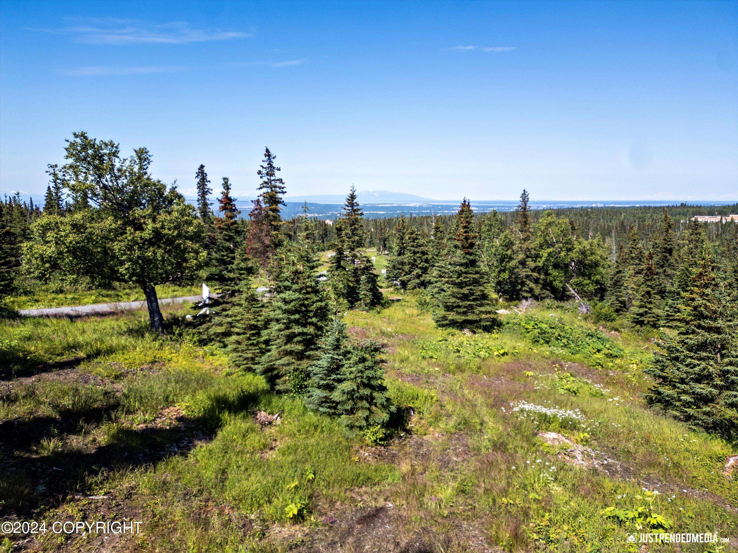 Anchorage, AK 99516,L2 B5 Mountain Air DR