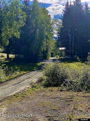 Haines, AK 99827,Lot A Orchard Subdivision