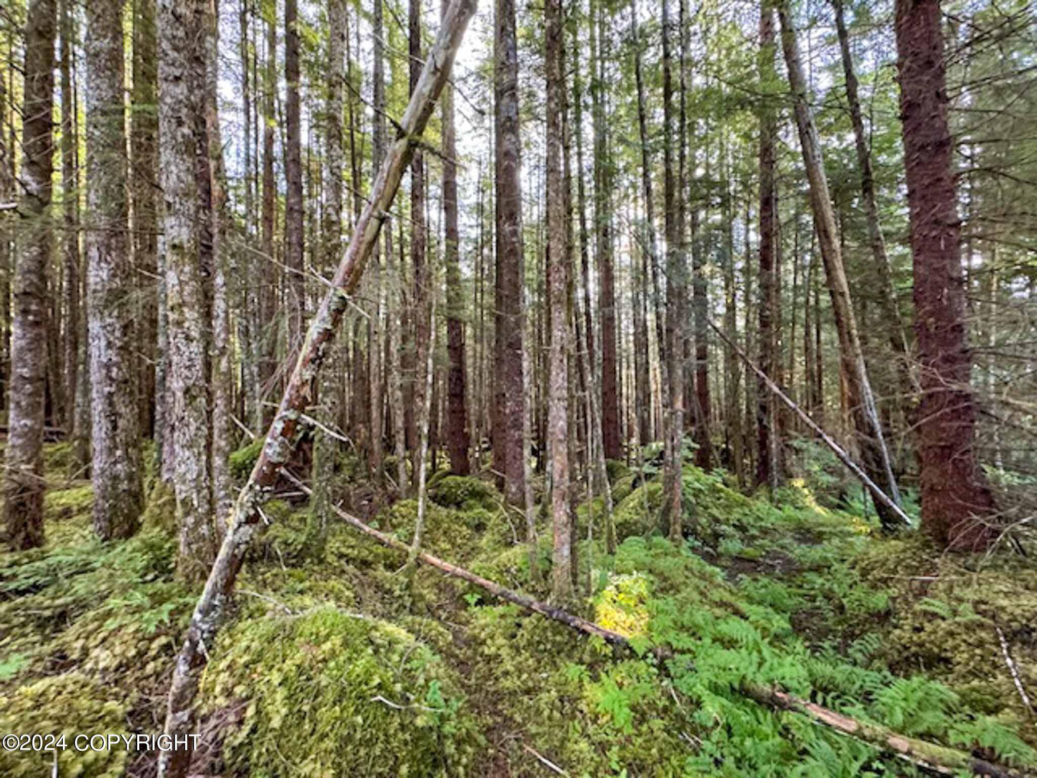 Thorne Bay, AK 99919,L14B1 North RD