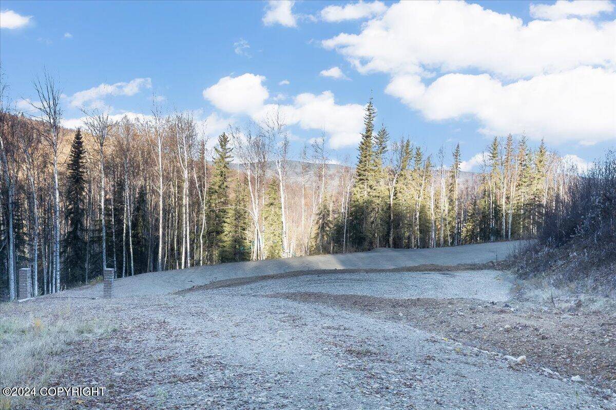 Fairbanks, AK 99712,Tract-C Birch Bend CT