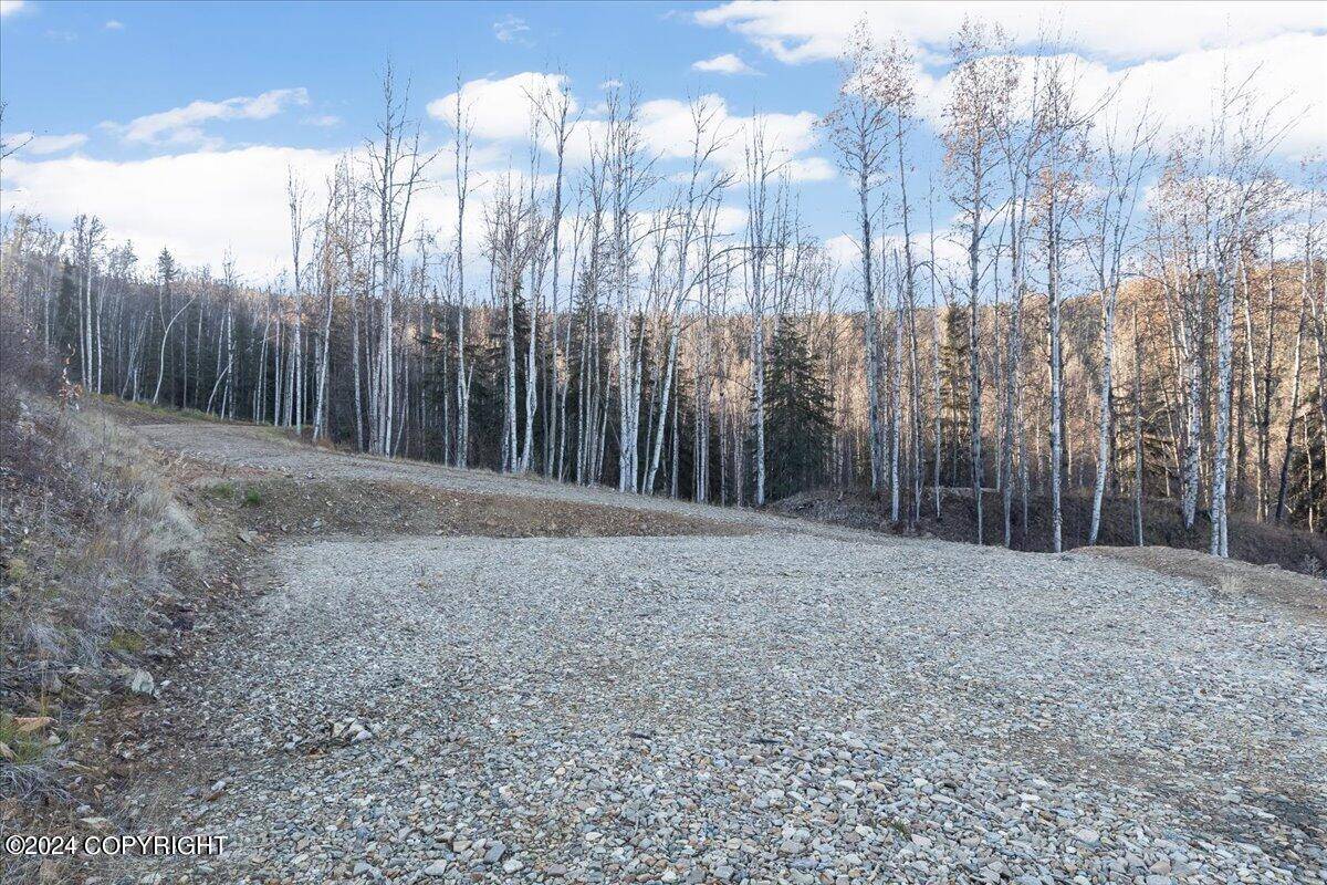 Fairbanks, AK 99712,Tract-C Birch Bend CT