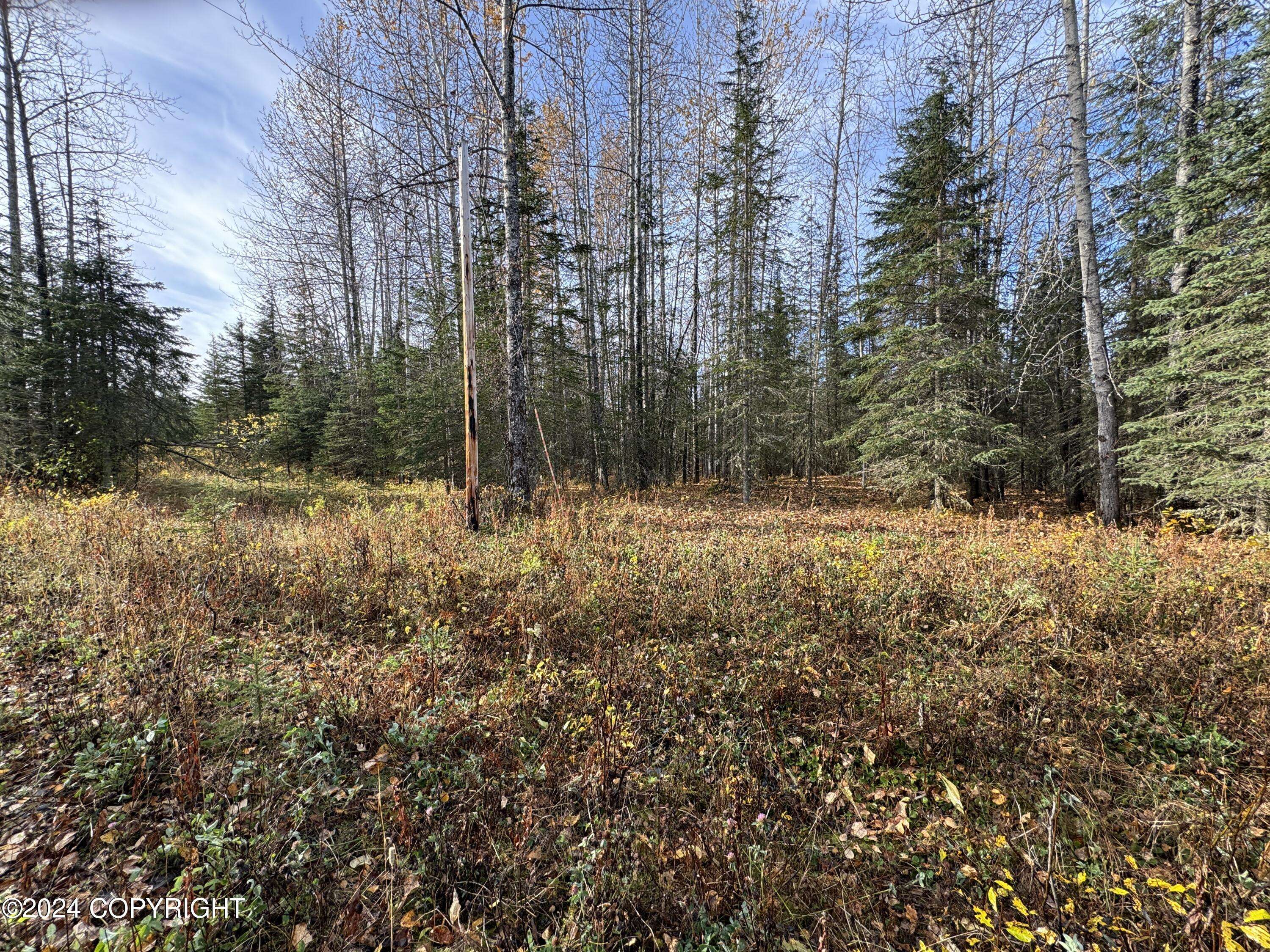 Kenai, AK 99611,40AC N Strawberry RD