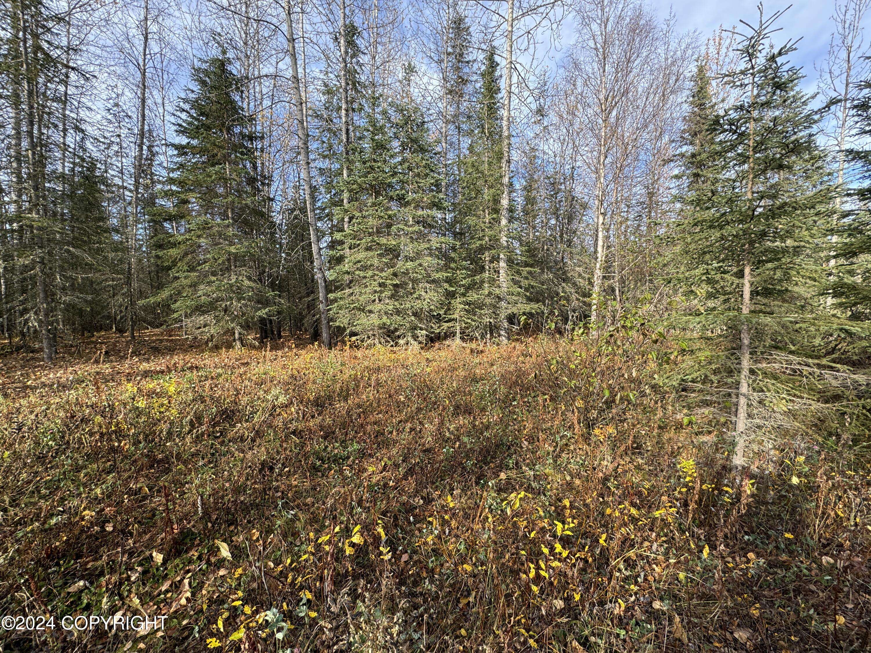 Kenai, AK 99611,40AC N Strawberry RD