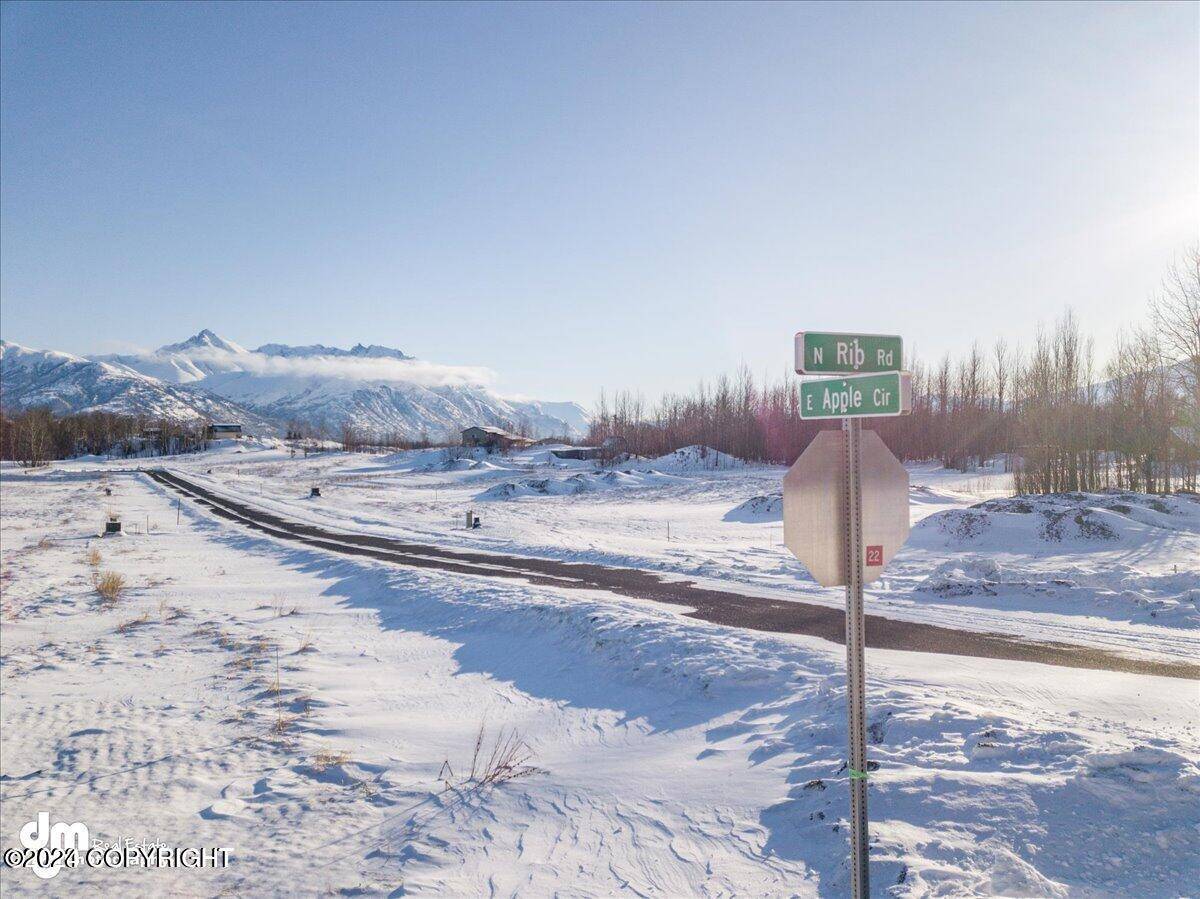 Palmer, AK 99645,11926 E Apple CIR