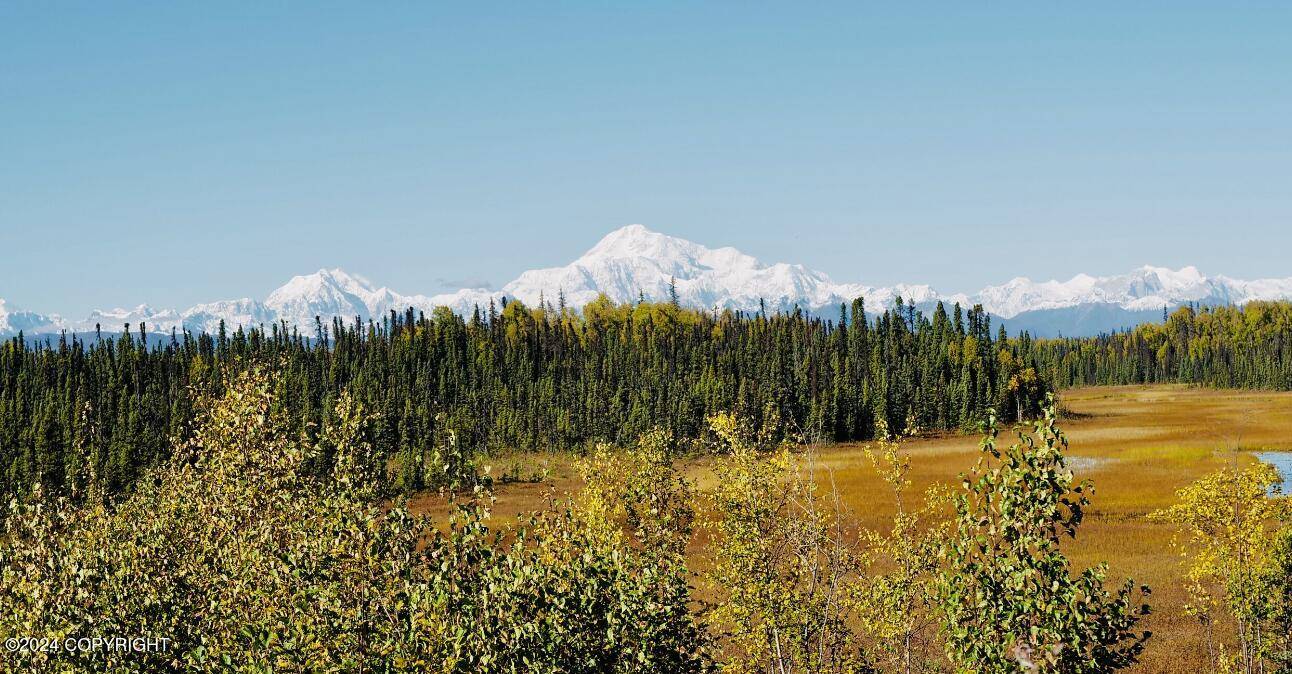 Trapper Creek, AK 99683,Tr E No Road