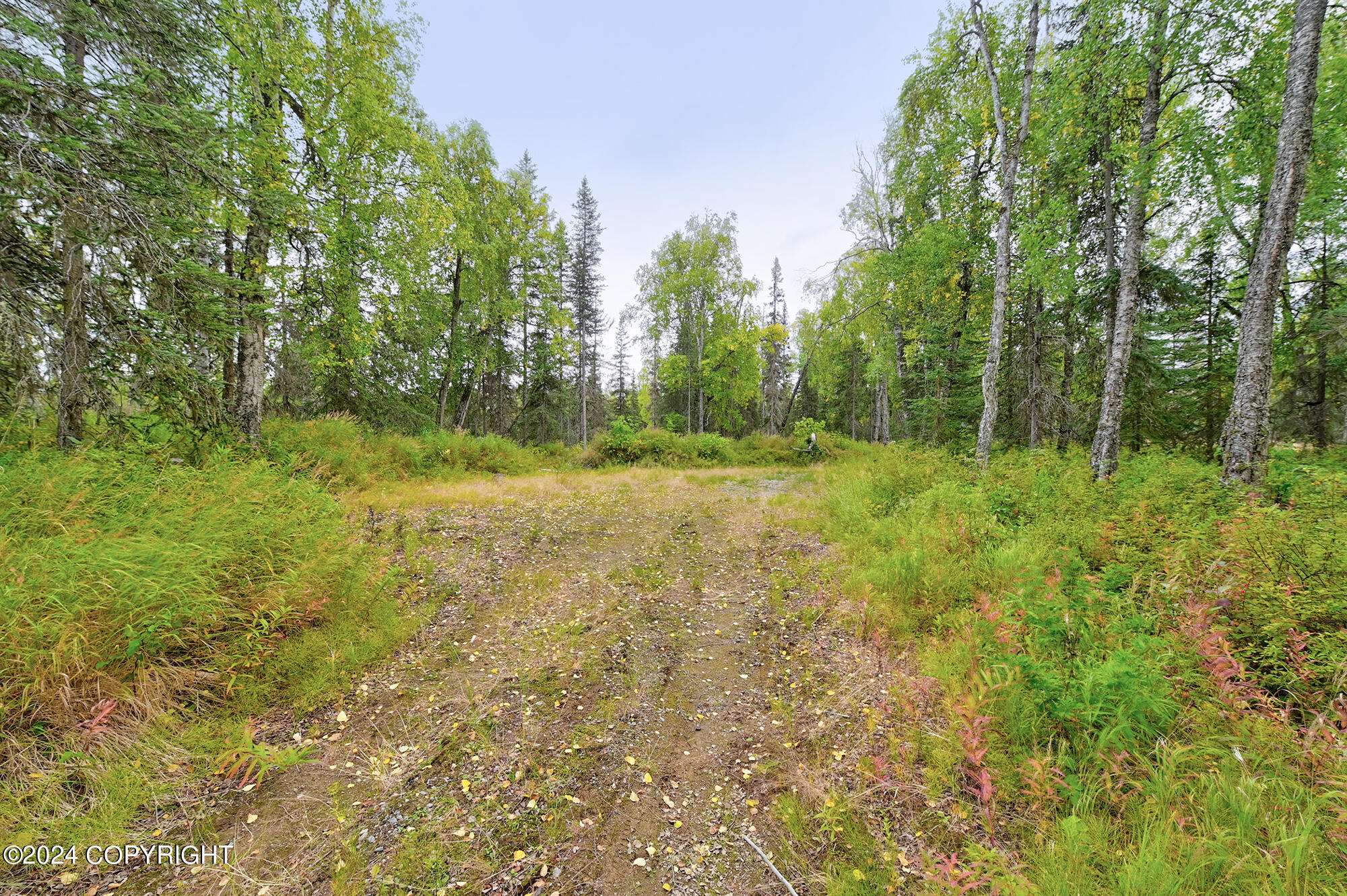 Nikiski/north Kenai, AK 99635,Tr 5 Darby AVE