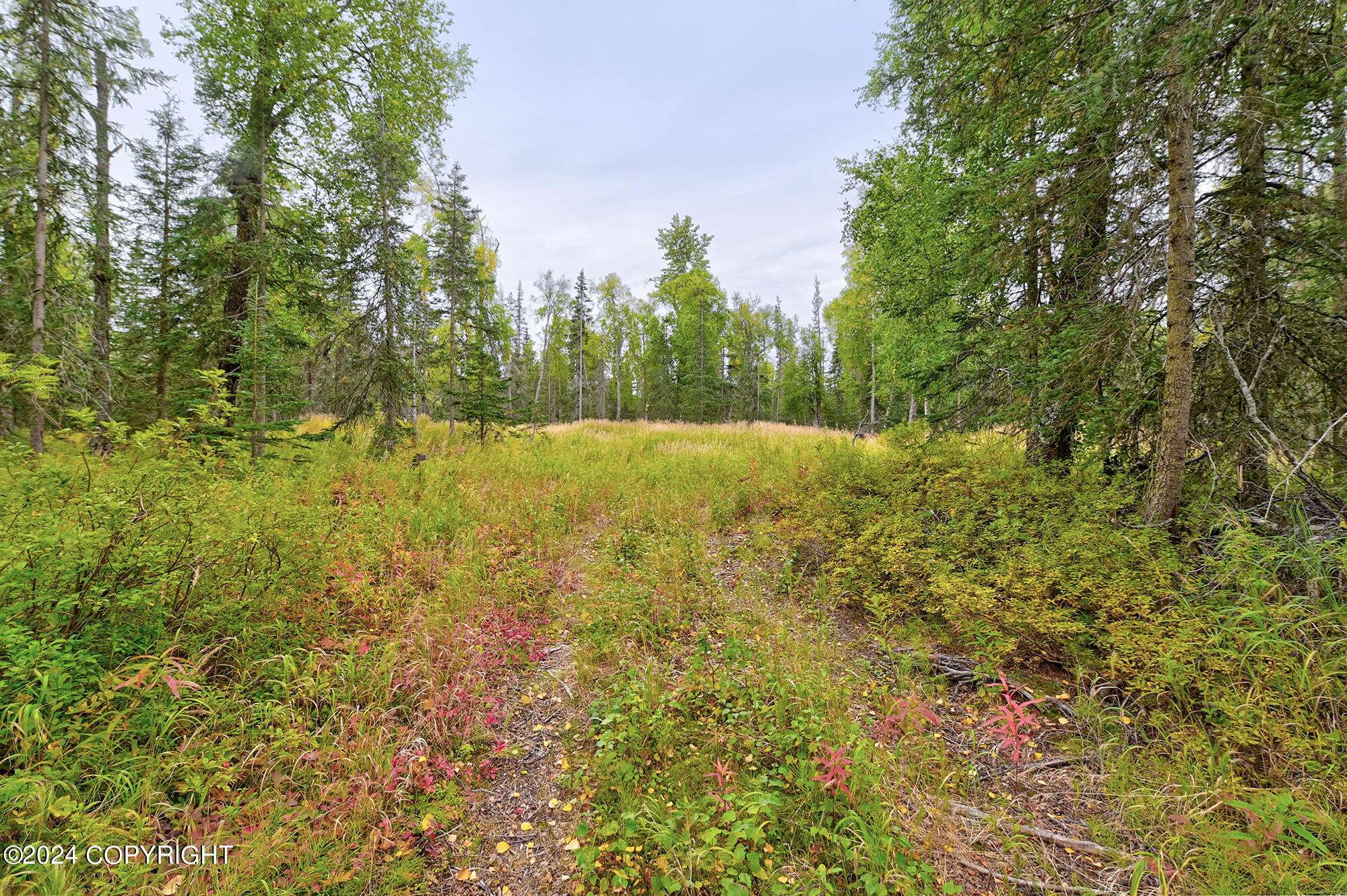 Nikiski/north Kenai, AK 99635,Tr 5 Darby AVE