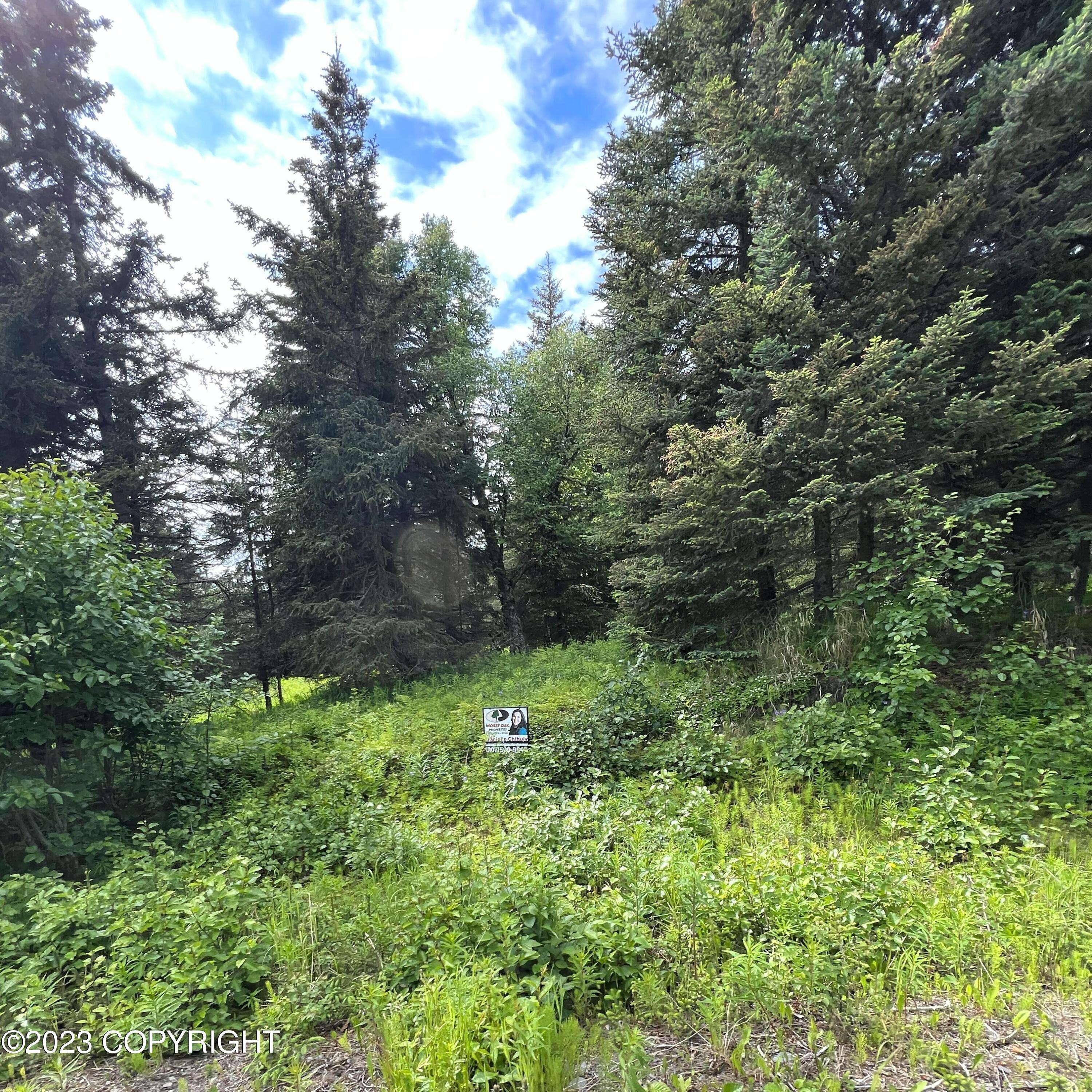 Ninilchik, AK 99639,17515 Arcturus LOOP