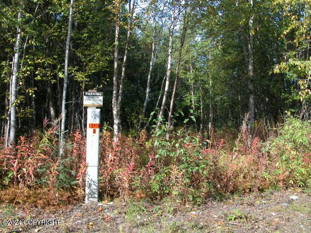 Nikiski/north Kenai, AK 99635,L7 Moose Run RD