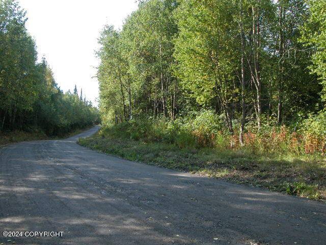 Nikiski/north Kenai, AK 99635,L7 Moose Run RD