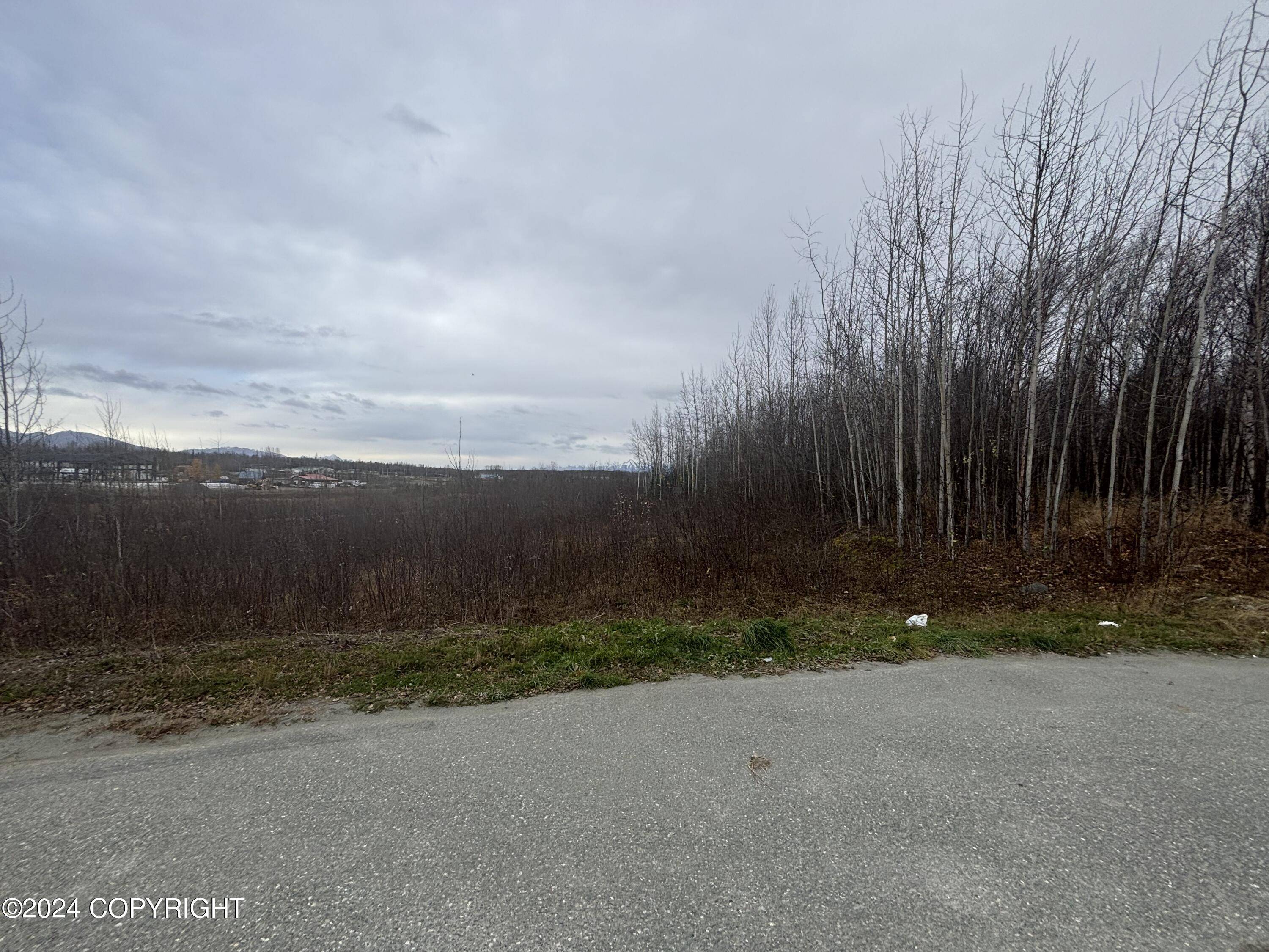 Wasilla, AK 99654,L3B-1 S Lamont CIR