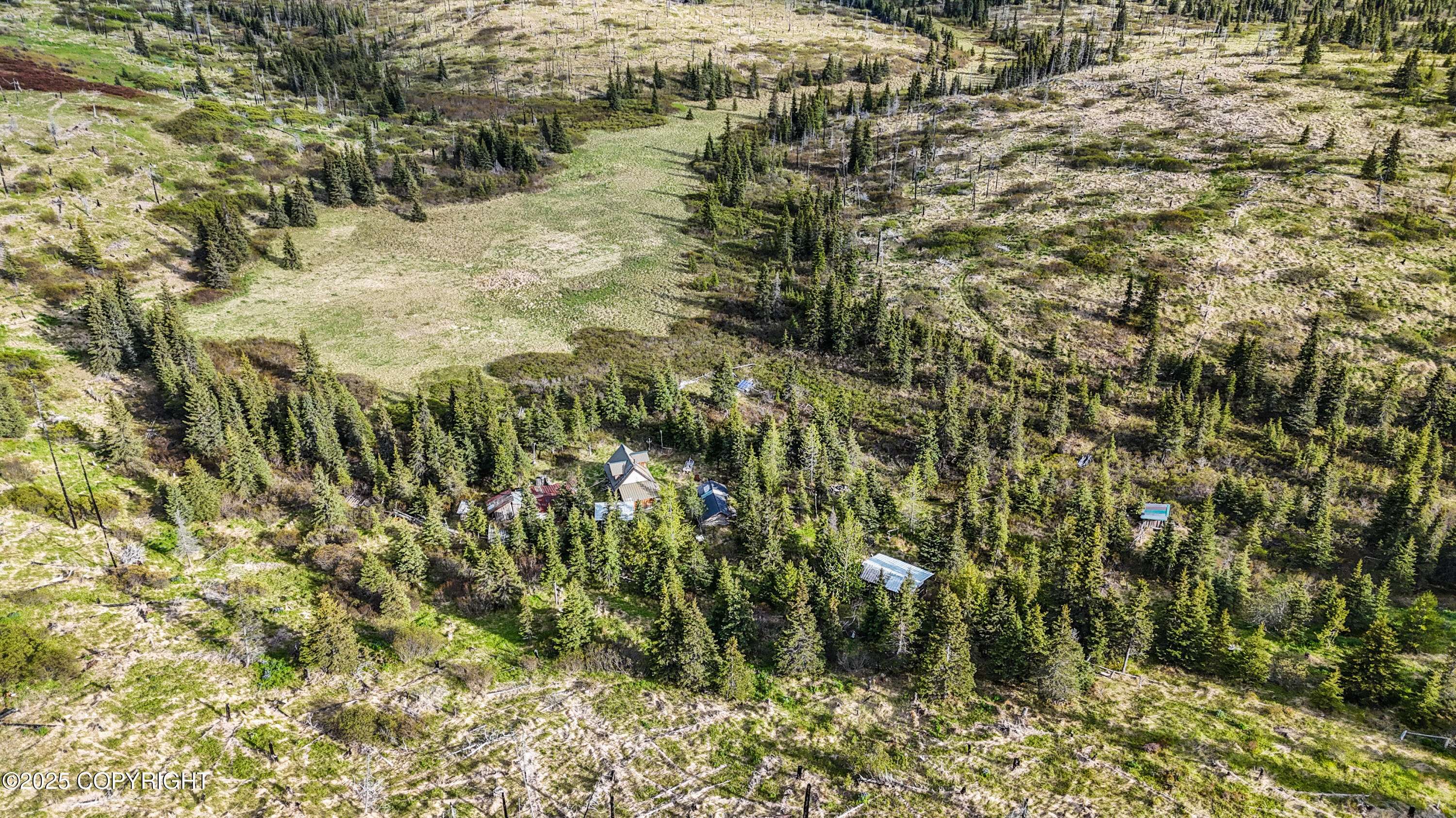 Ninilchik, AK 99639,17775 SW Caribou Hills REM
