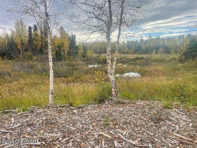 Willow, AK 99688,19859 E Sky Wagon CIR