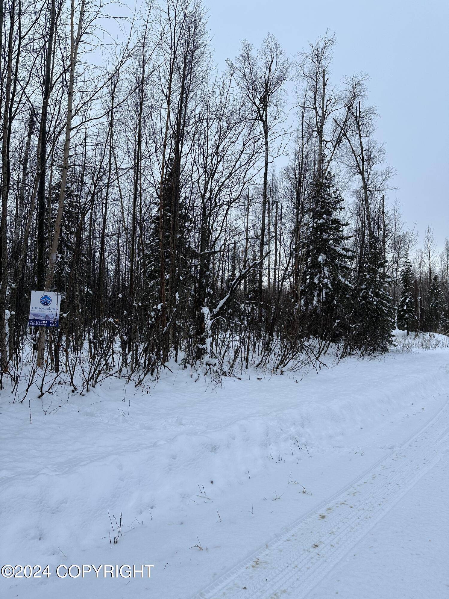 Big Lake, AK 99652,14928 W Concord ST