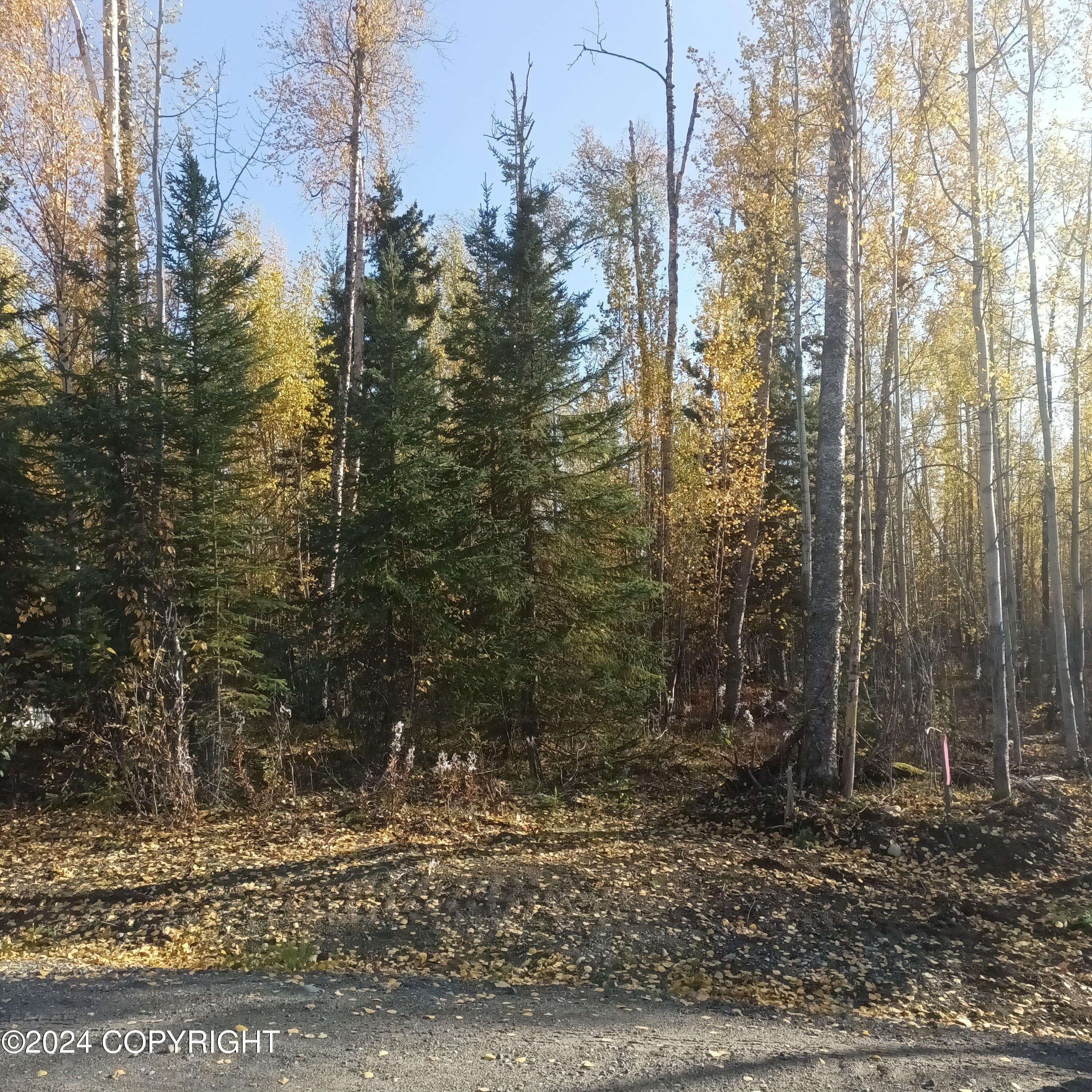 Big Lake, AK 99652,14928 W Concord ST