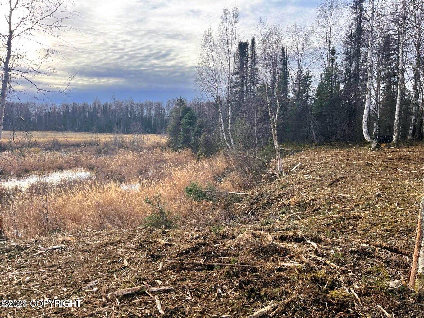 Willow, AK 99688,48555 Rainbow Ridge DR
