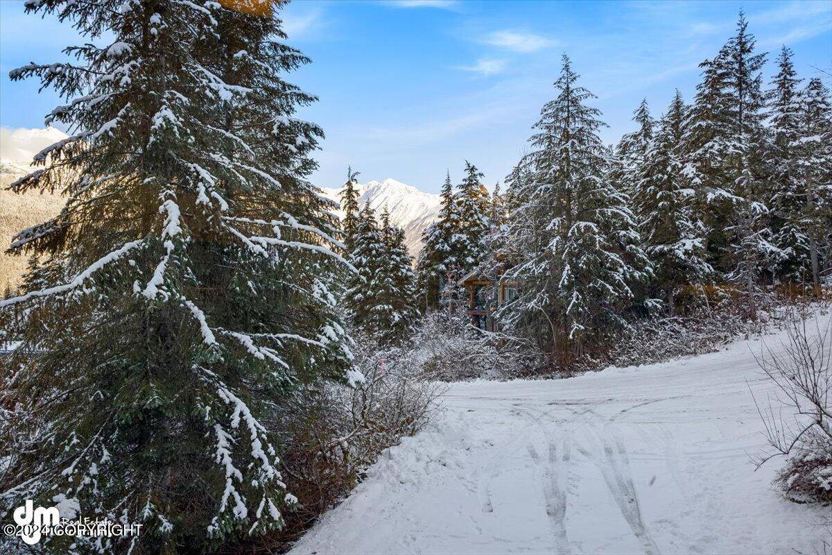 Girdwood, AK 99587,200 Echo Ridge DR