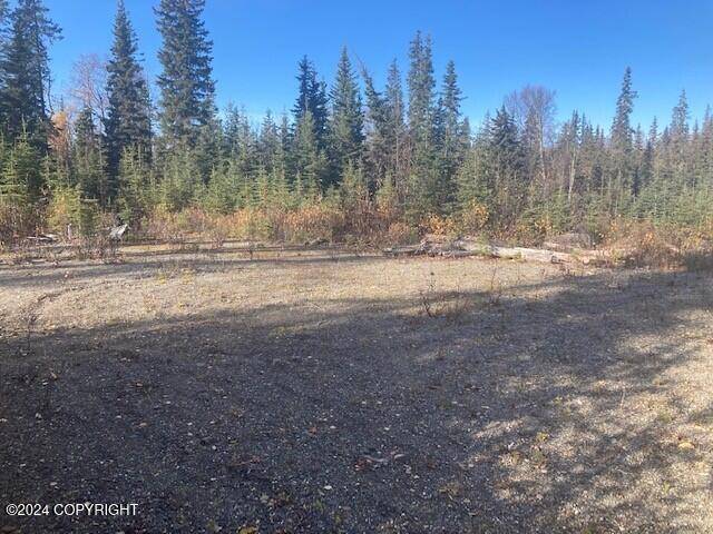 Nikiski/north Kenai, AK 99635,0000 Sophy Avenue