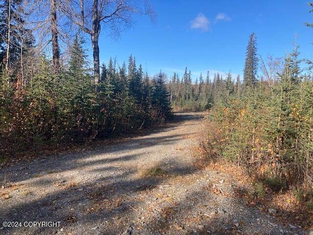 Nikiski/north Kenai, AK 99635,0000 Sophy Avenue