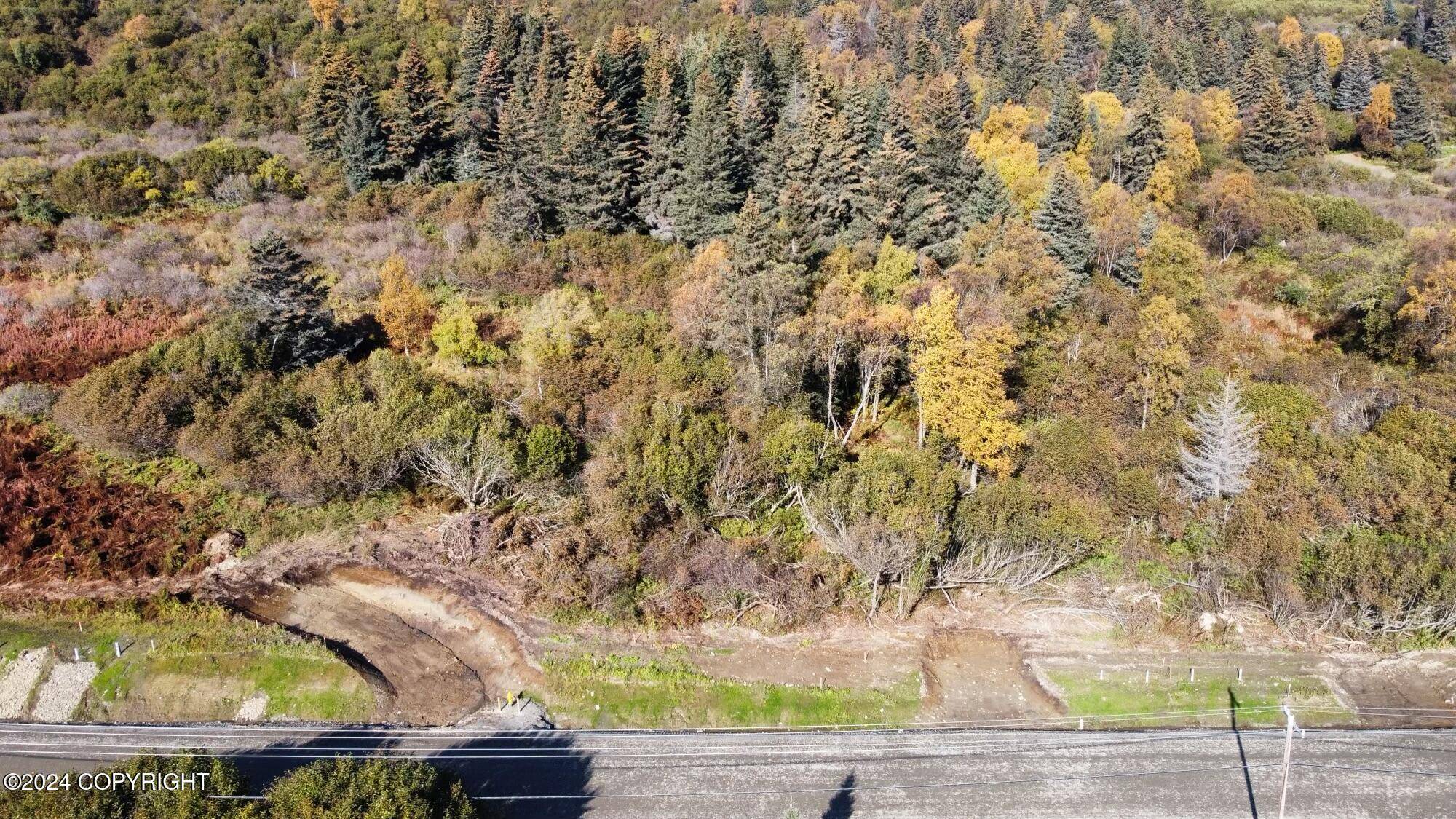 Homer, AK 99603,L5 W Fairview AVE