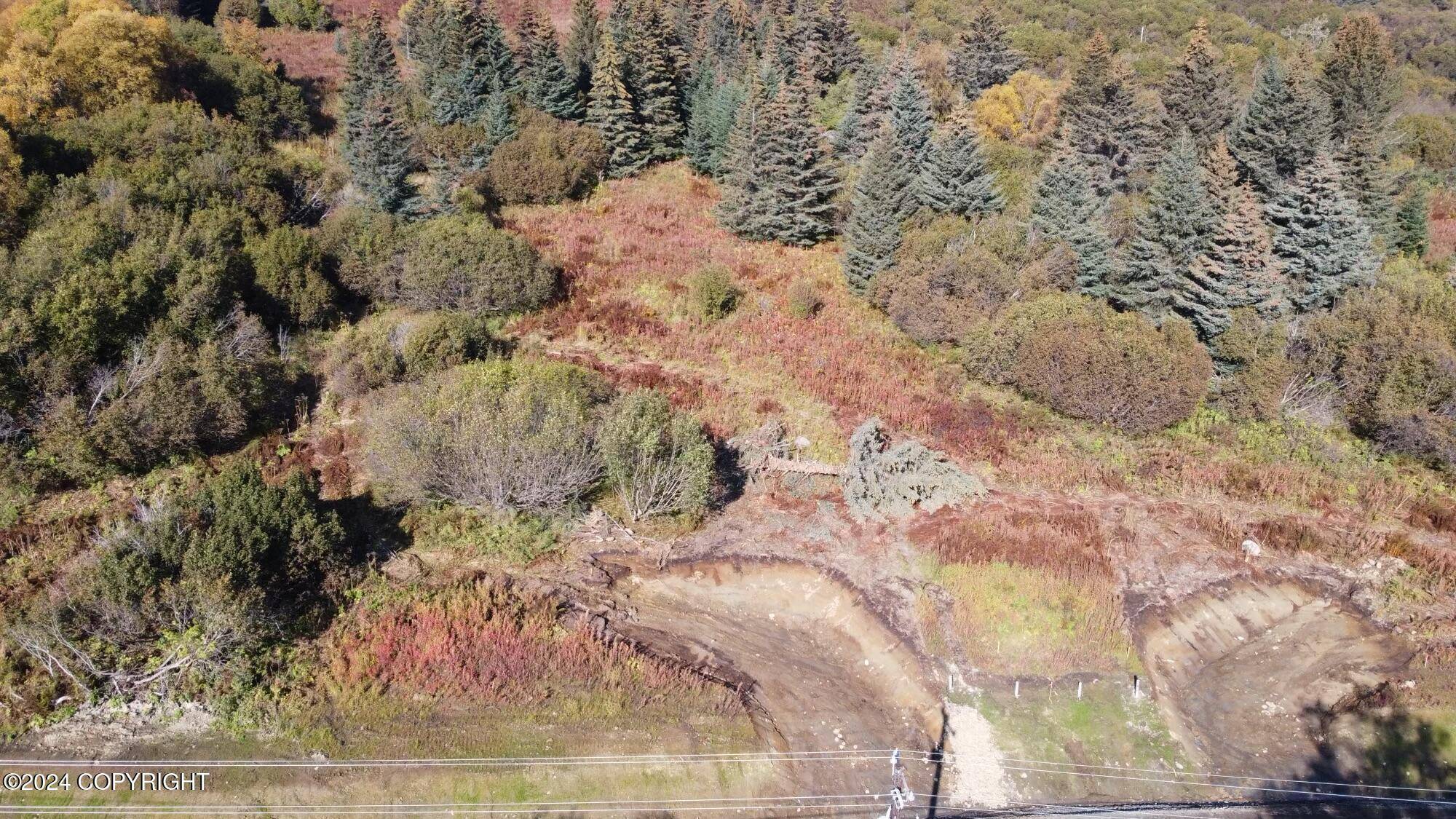 Homer, AK 99603,L9 W Fairview AVE