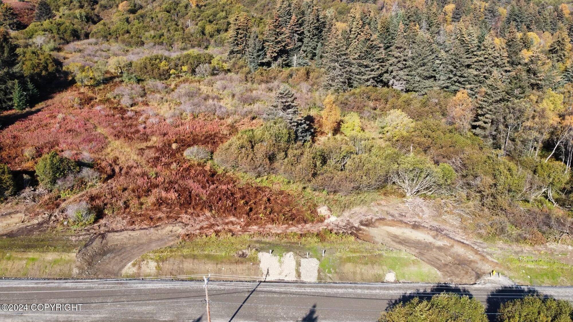 Homer, AK 99603,L9 W Fairview AVE