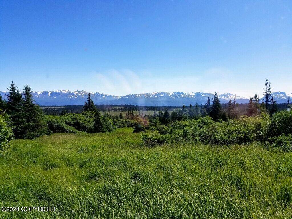 Homer, AK 99603,000 Caribou Lake Subdivision