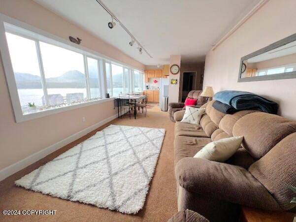 Ketchikan, AK 99901,2415 Hemlock ST #1101