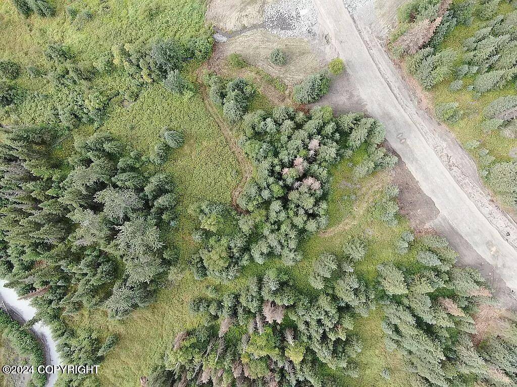 Eagle River, AK 99577,L4 Wilde CIR