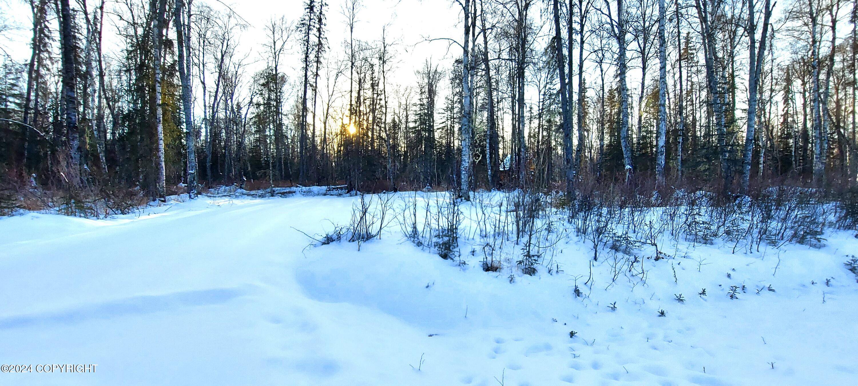 Talkeetna, AK 99676,L15 E Fireweed Honey RD