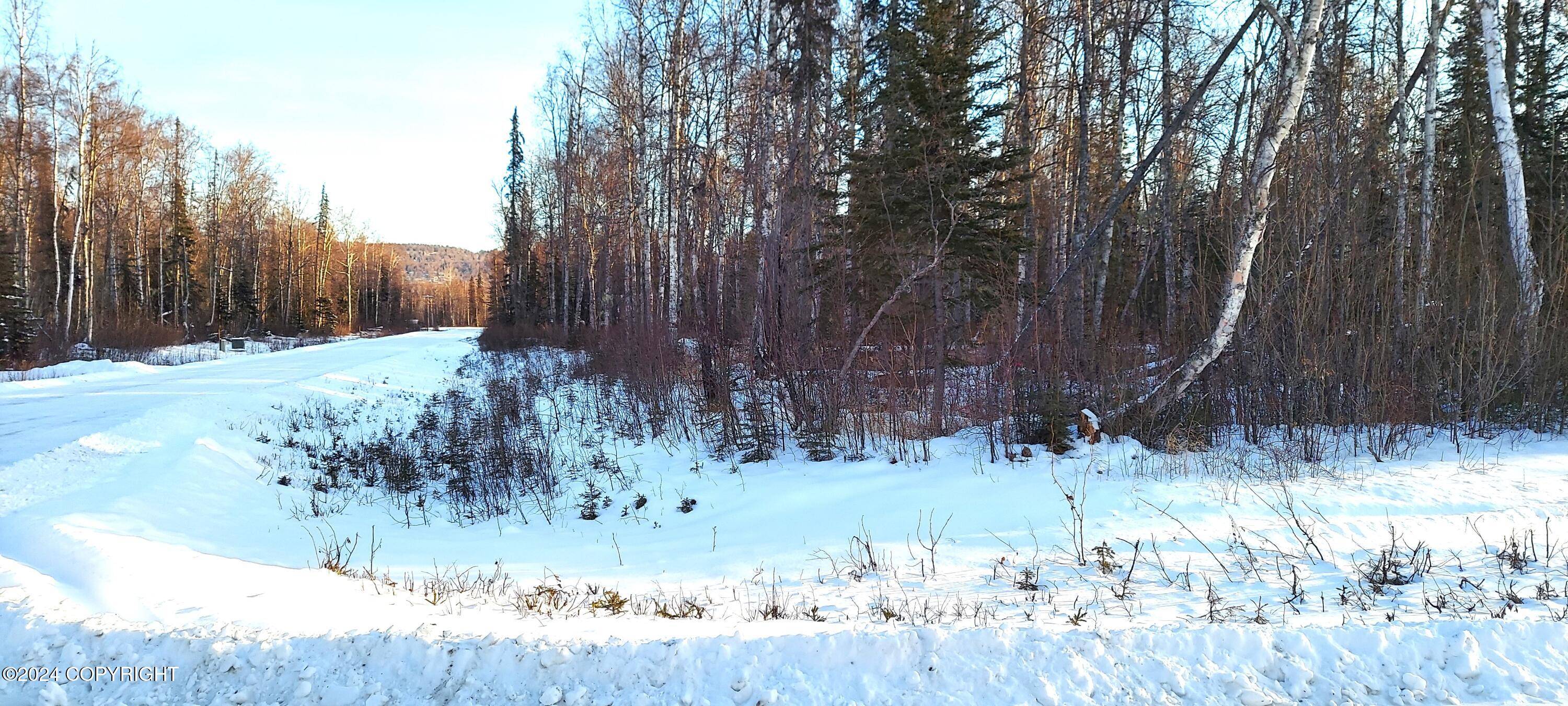 Talkeetna, AK 99676,L15 E Fireweed Honey RD