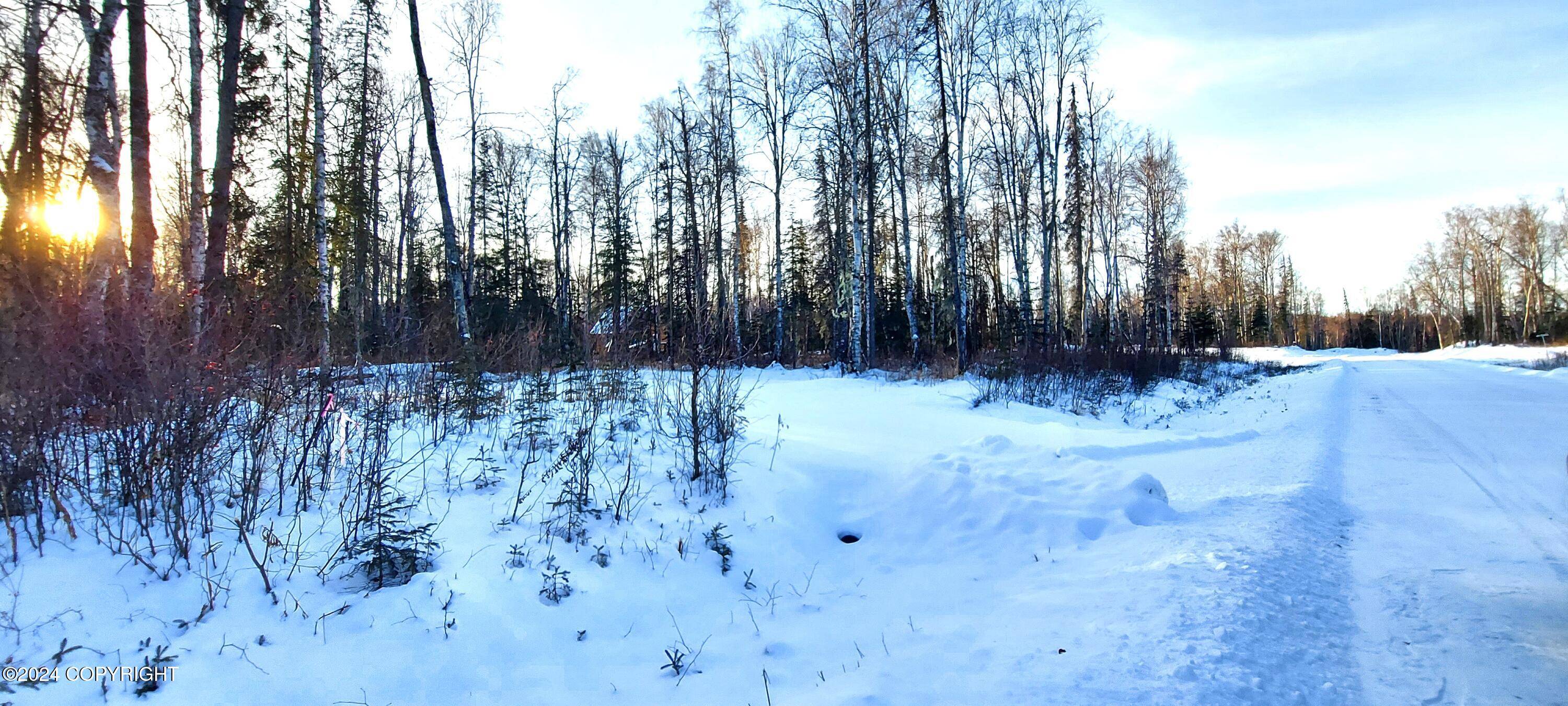 Talkeetna, AK 99676,L15 E Fireweed Honey RD