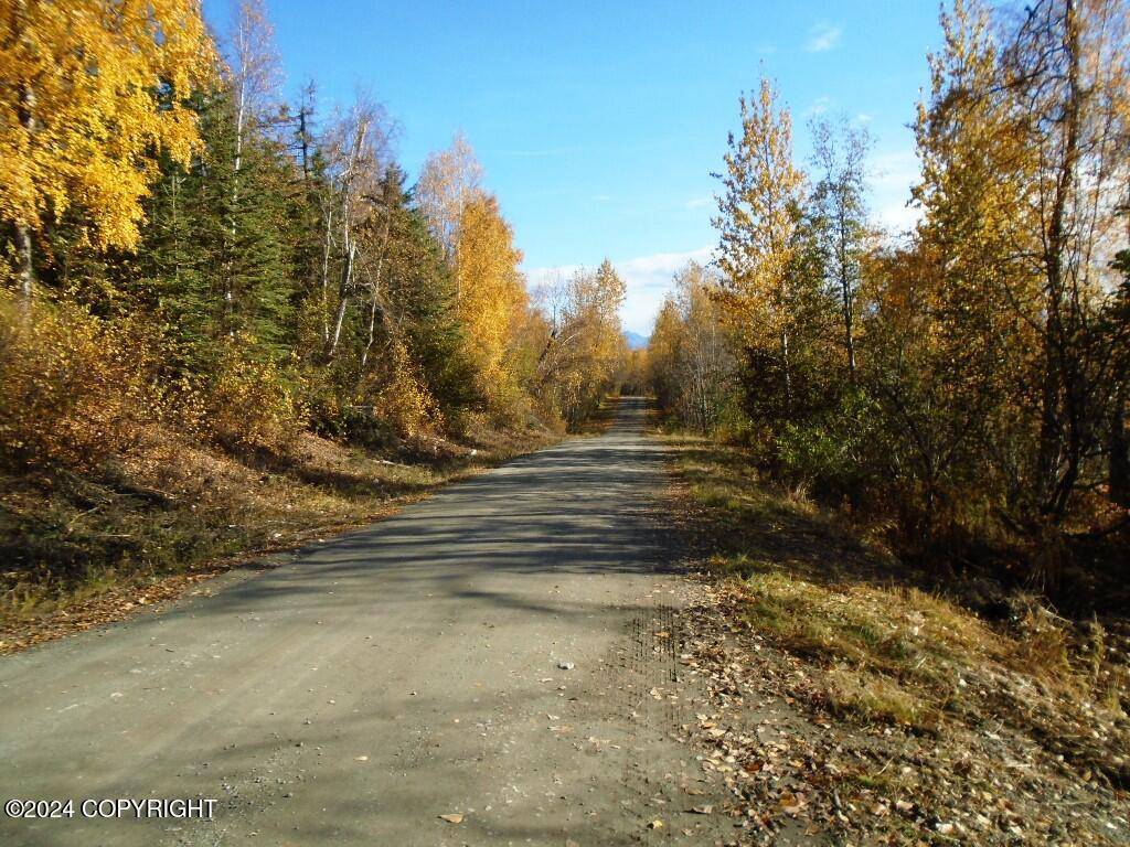 Wasilla, AK 99654,17629 W New Homestead AVE