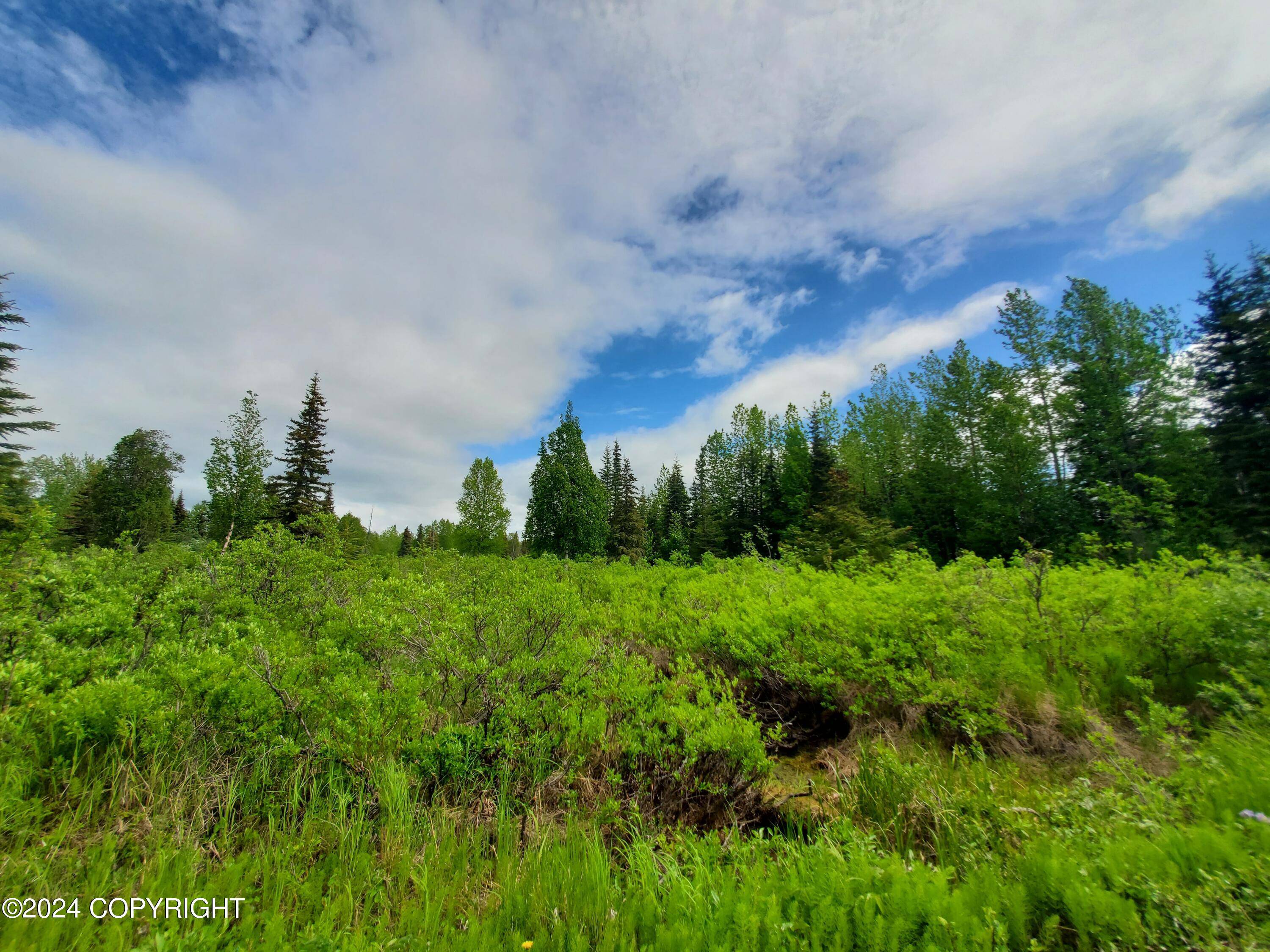 Anchor Point, AK 99556,35050 North Fork RD