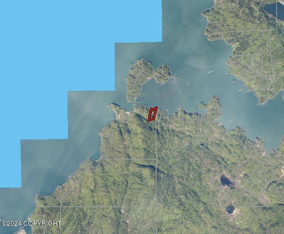 Homer, AK 99603,Tr C ASLS 76-59