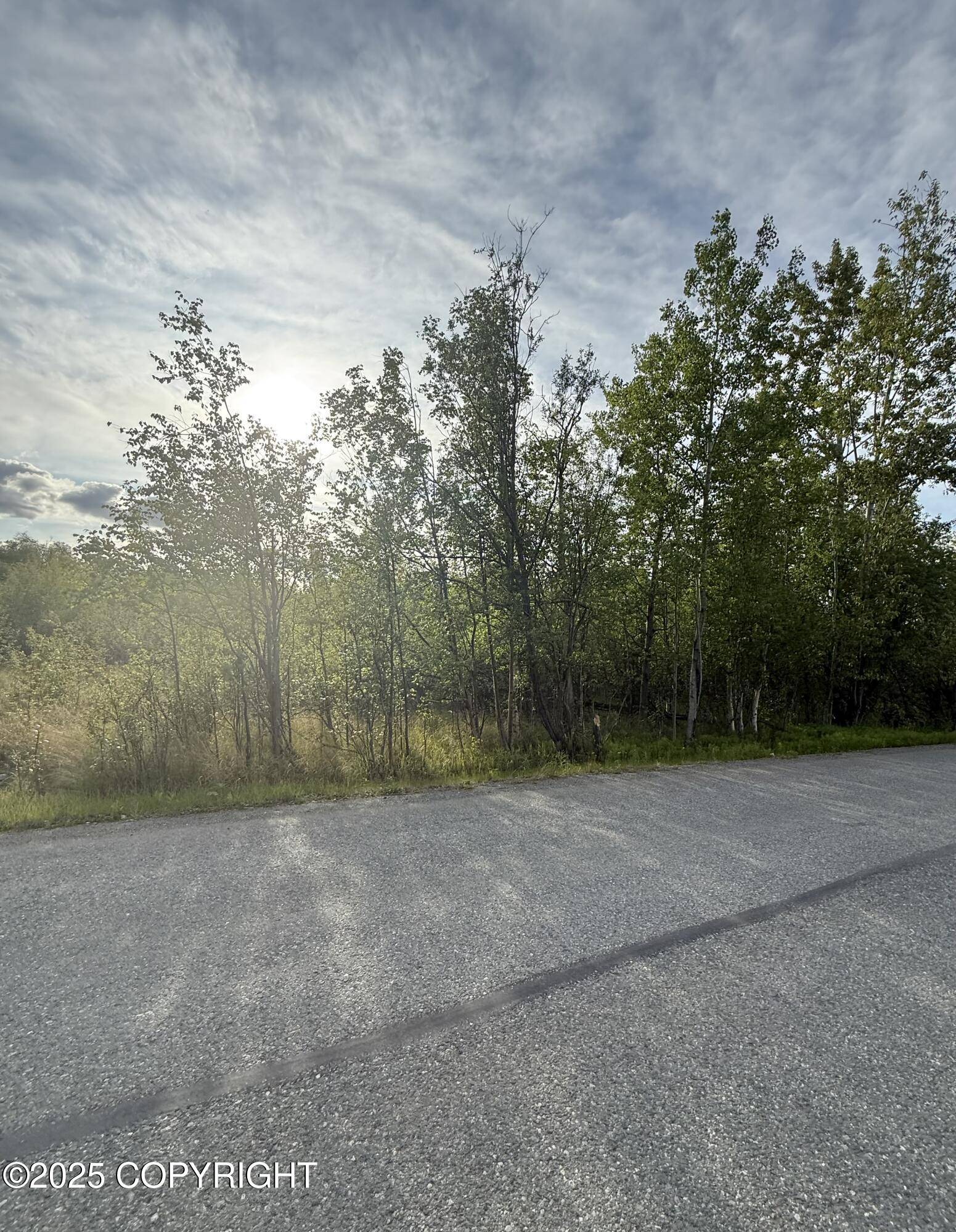 Wasilla, AK 99654,495 S Harriette ST