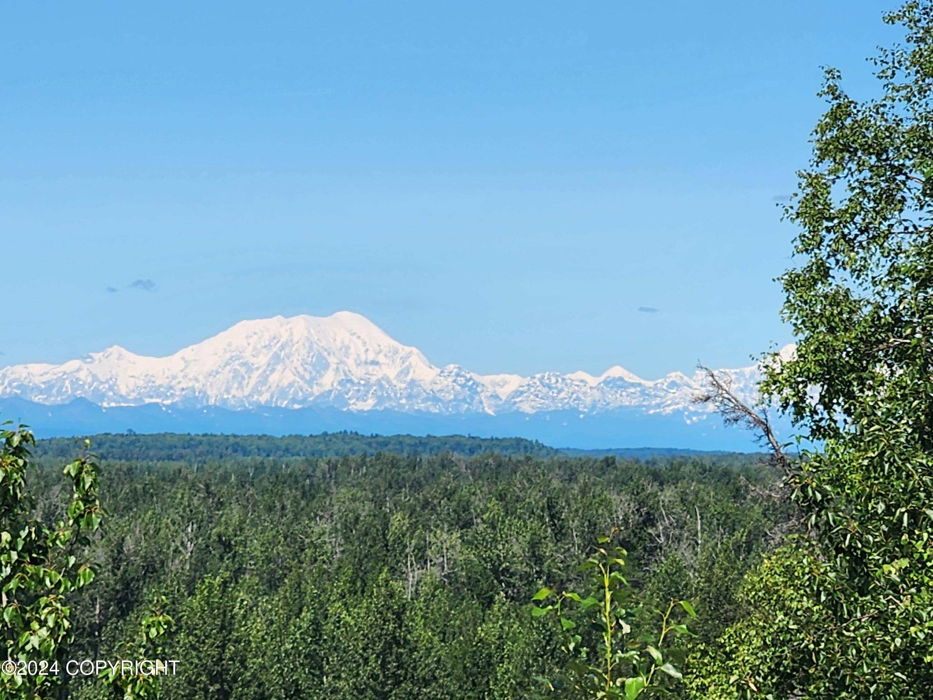 Willow, AK 99688,23002 N Gerald CIR